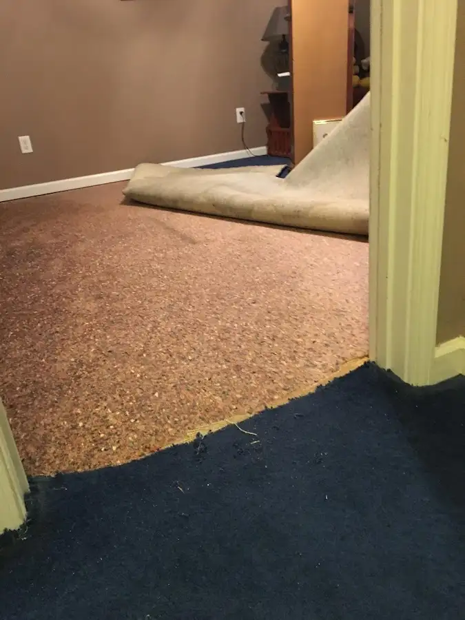 Carpet pad removal revealing water damage during Drying & Dehumidification in Mount Holly