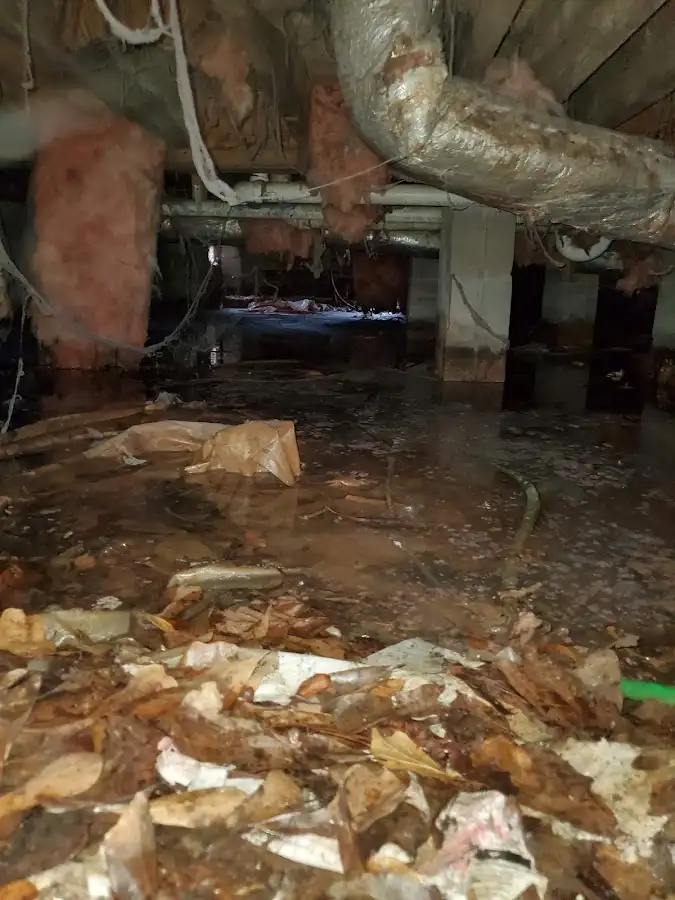Crawl space flood assessment for Leak Detection & Repair in Mount Holly