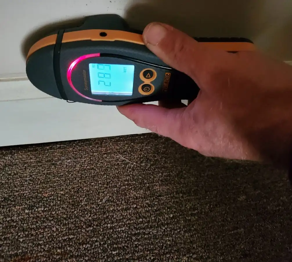 Moisture detection at baseboard during Sewage Cleanup & Sanitation in Mount Holly